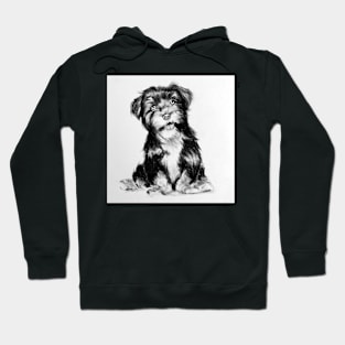 little big friend Hoodie